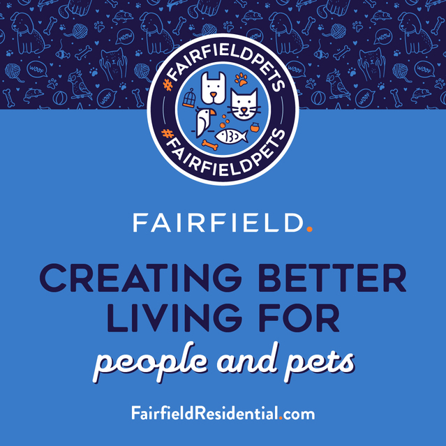 Fairfield Pet Video